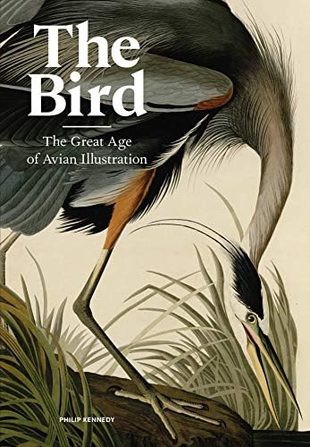 Birds: The Art of Ornithology: Elphick, Jonathan: 9780847861088